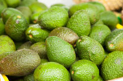 Українці за здорове харчування: імпорт авокадо за рік зріс на 28%