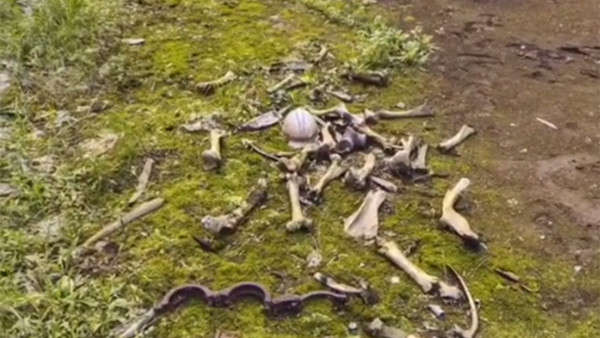 Ролик з Google Maps, на якому в Чорнобилі виявили скелет, зібрав мільйони переглядів