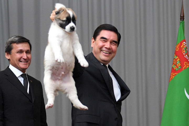 У Туркменістані заснували свято на честь улюбленого собаки президента 