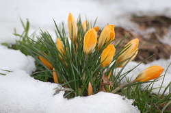 В последний день зимы Украину накроют дожди