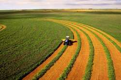 Законні два гектари: як отримати у власність землю без додаткових витрат (інструкція)