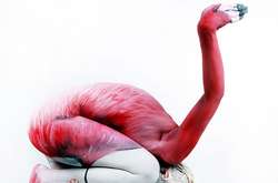 Художница превращает обнаженных моделей в птиц. Эти работы хочется разглядывать (фото)