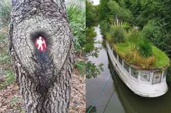 Когда природа показала человеку, кто на планете хозяин. Подборка впечатляющих фото