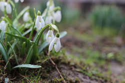 Майже без опадів, але прохолодно: прогноз погоди в Україні на суботу