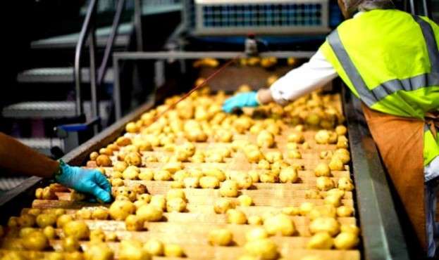 На Львівщині закордонні інвестори побудують завод з переробки картоплі