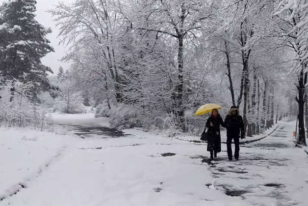 Львівщину засипало снігом (фото, відео)