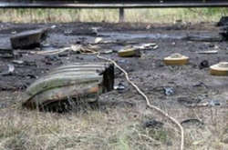 По оценке миссии ОБСЕ, мины принадлежат вооруженным бандам РФ