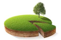 Владельцам сертификатов на право земельного пая нужно успеть оформить собственность на землю до 1 января 2025 года