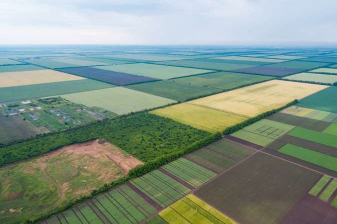 Понад 177 тис. гектарів землі на Одещині передали територіальним громадам 
