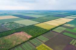 Гектар ріллі в Одеській області коштує 31 тисячу 17 гривень