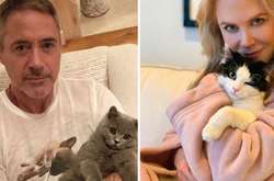Фото знаменитостей, которые одержимы своими кошками не меньше, чем мы