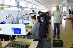 На Одещині відкрили фабрику по виробництву комплектуючих для електромобілів