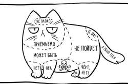 Подборка честных комиксов о том, как живется человеку, рискнувшему завести кота
