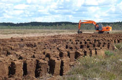 Керівник держпідприємства на Чернігівщині підозрюється в незаконному видобутку торфу