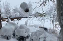 Через снігопади у США скасували понад 2 тисячі авіарейсів