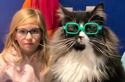 Кошку взяли на работу в магазин оптики, чтобы дети не стеснялись очков (фото)