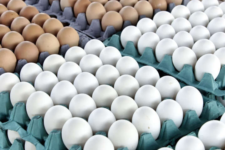 НАБУ звинуватили у падінні виробництва яєць в Україні