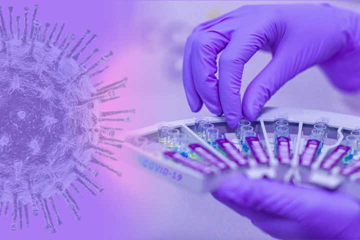 Новые опасные мутации коронавируса. Институт молекулярной биологии и генетики сделал тревожное заявление