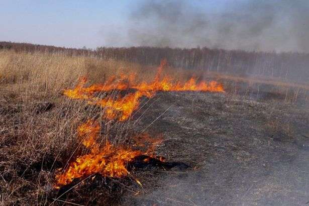 В Україні орендарям землі заборонили випалювати траву