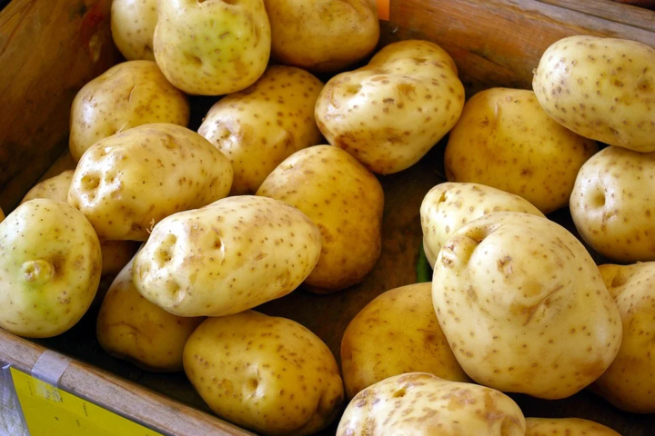 С начала года Украина импортировала почти 59 тысяч тонн картофеля