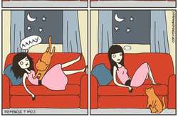 О жизни котиков и их человеческих рабов. 15 курьезных комиксов