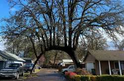 Эти удивительные вещи, которые создала природа (фото)