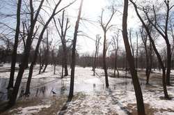 В Україні різко потеплішає: прогноз погоди на 26 березня