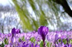 Тепла погода повертається в Україну