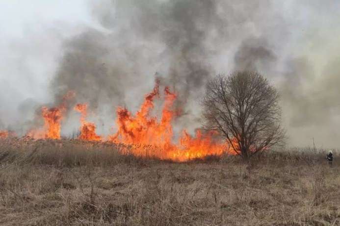 На Вінниччині за добу рятувальники гасили вогонь у 14 екосистемах