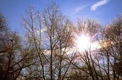 На зміну дощу та снігу прийде весняне тепло