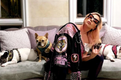 Выгульщику собак Леди Гаги после нападения удалили часть легкого