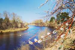 У перший день квітня в Україні потепліє до +19