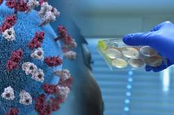 Коронавірус наробив лиха на Харківщині