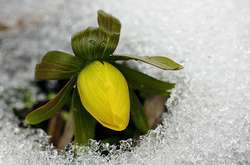 Потужний холодний атмосферний фронт диктуватиме синоптичну ситуацію