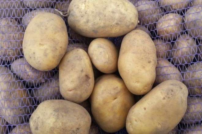 Цены на картофель существенно изменились: что происходит на рынках и в супермаркетах