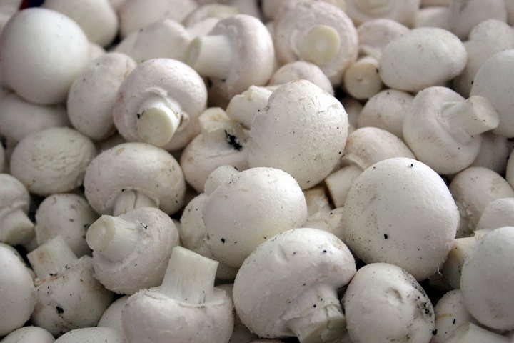 Стали відомі ціни на гриби в різних регіонах України