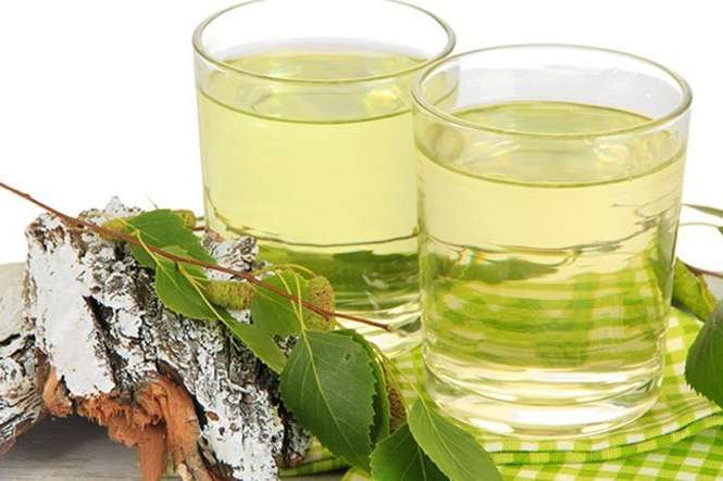 Березовий сік – весняний напій: лікувальні властивості, користь і шкода