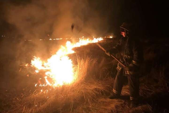Пожежі на Вінниччини: рятувальники 24 рази гасили підпалений сухостій