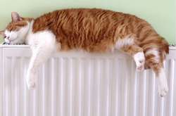 Вранці 7 квітня в оселях деяких вінничан уже були холодні батареї