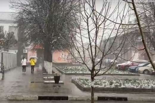 Весняний снігопад на Одещині: в мережі опублікували відео
