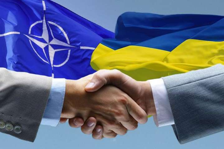 Литва будет просить НАТО предоставить Украине План действий относительно членства