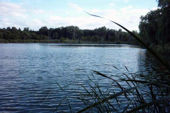 Смерть на воді: на Вінниччині у сільському ставку втопилася жінка