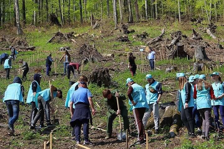 У Києві в Пуща-Водиці висадять мільйонне дерево у рамках світового проєкту «Озеленення планети»