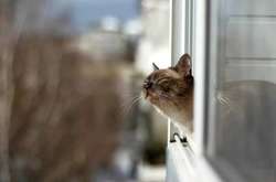 Погода у Києві: стовпчики термометрів піднімуться до +10°