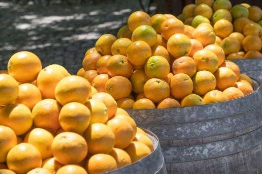Іспанські фахівці назвали ознаки відмінності хороших апельсинів від поганих