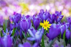 Синоптики порадували прогнозом погоди на вихідні 10-11 квітня