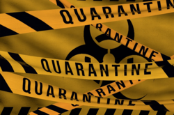  Виталий Кличко: в условиях отсутствия массовой вакцинации, страну ждет катастрофа 