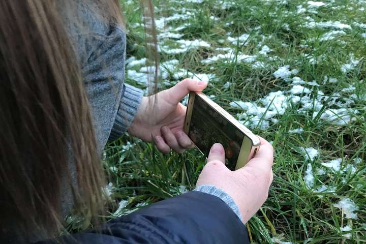 Смартфони проти сокир. На Закарпатті борються із вирубками лісу за допомогою мобільного додатка