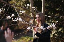 Біля магнолієвих дерев фотографуються всі охочі