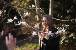 В Киеве зацвели первые магнолии: где можно увидеть красоту (фото)